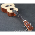 Newest spruce noodle single ukulele for 2021